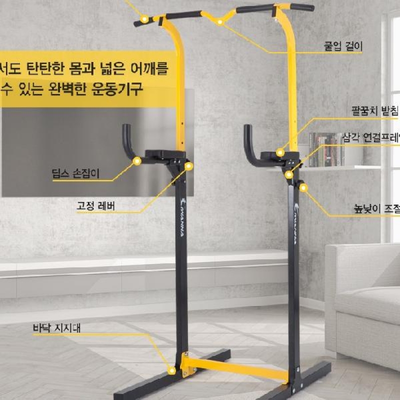 아이워너 홈트레이닝 치닝디핑 운동 기구 실내 복근
